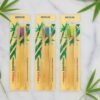 eco friendly bamboo toothbrush twin pack (12 packets × 24 pieces)