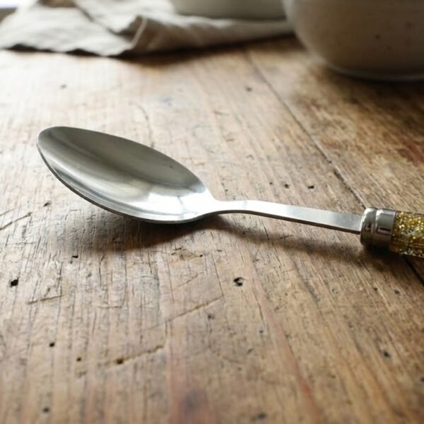 premium stainless steel dining spoon set (pack of 2)