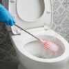long handle toilet cleaning brush (1 pc)