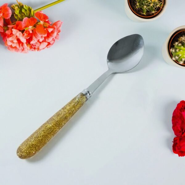 premium stainless steel dining spoon set (pack of 2)