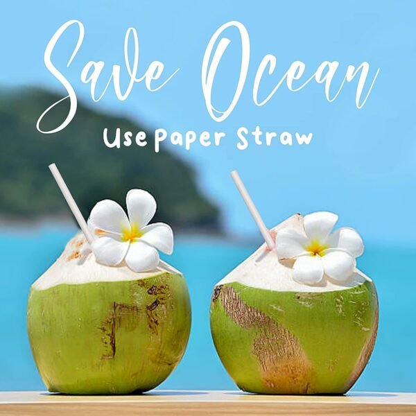 paper straw â€“ plain 6 mm diameter, 200 mm length, 50 pcs pack