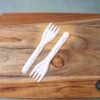 compostable bagasse fork â€“ 10 pcs pack