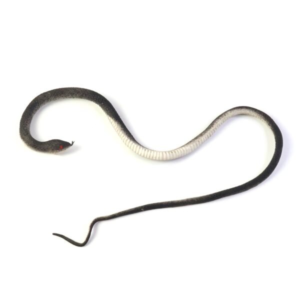 realistic rubber snake prank toy (1 pc)