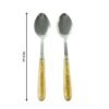 premium stainless steel dining spoon set (pack of 2)