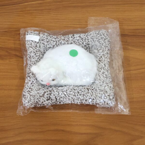 soft plush cute cat car dashboard showpiece toy (1 pc)