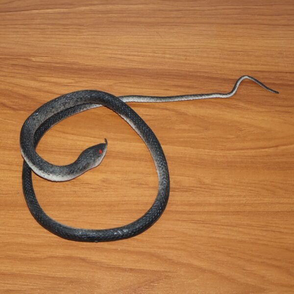 realistic rubber snake prank toy (1 pc)