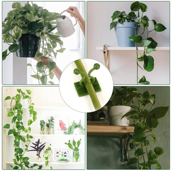 Shop Full Width money plant support clips vine plant (10 pcs set)