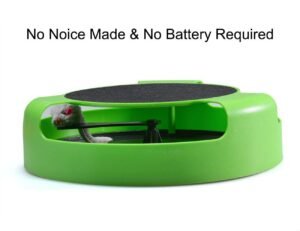 cat interactive toy (cat scratching pad)