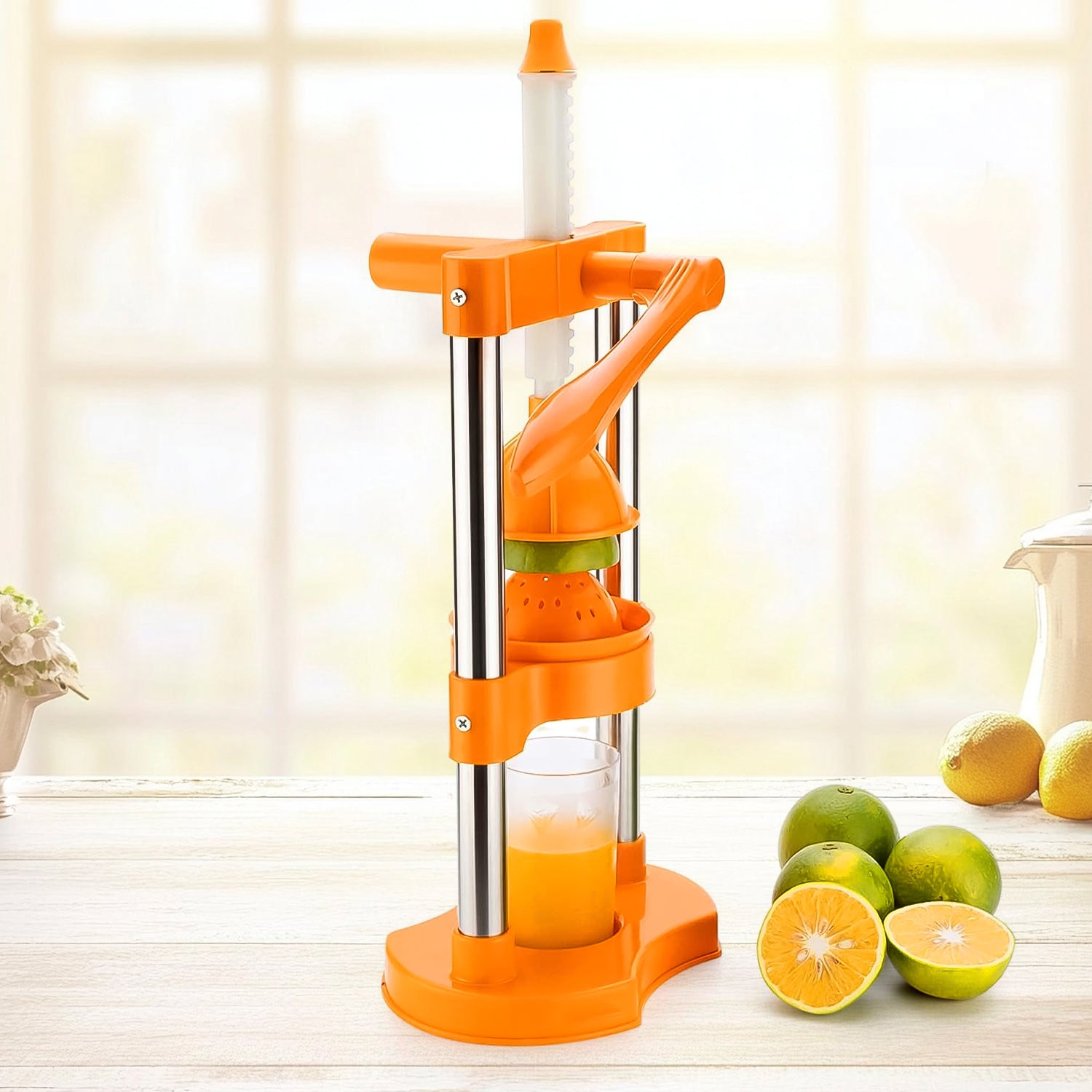 manual hand pressure juicer for fruits & veg