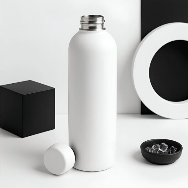 stainless steel double wall vacuum insulated drink water (white / 500 ml approx)