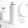 stainless steel double wall vacuum insulated drink water (white / 500 ml approx)