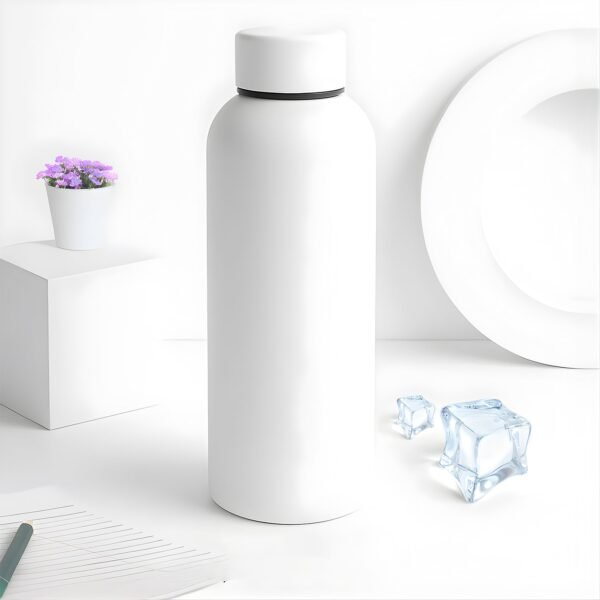 stainless steel double wall vacuum insulated drink water (white / 500 ml approx)