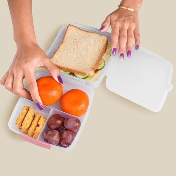 1 large and 3 small compartment 1400 ml multipurpose lunch box (1400 ml / 1 pc)