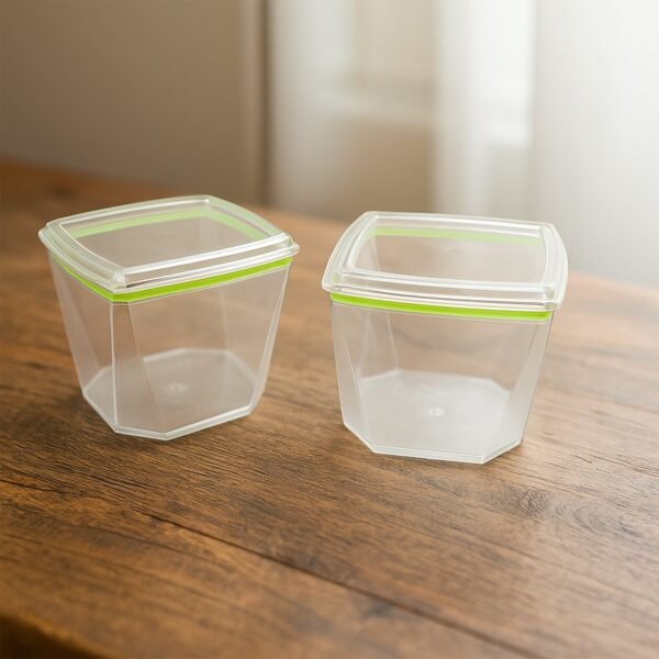 food storage container set with leak proof lid (500 ml / 2 pc)