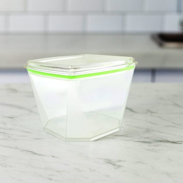 food storage container set with leak proof lid (500 ml / 2 pc)