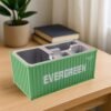 container style multi compartment desk organizer (1 pc)