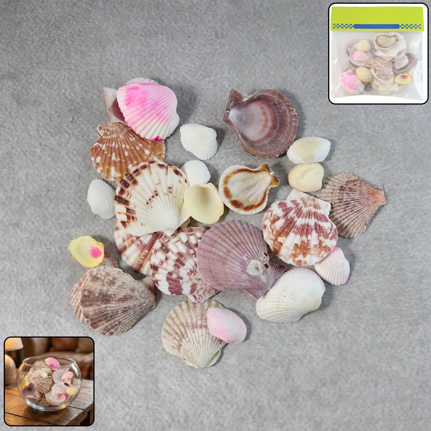 natural decorative sea shells set (1 set)