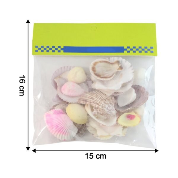 natural decorative sea shells set (1 set) natural decorative sea shells set (1 set)