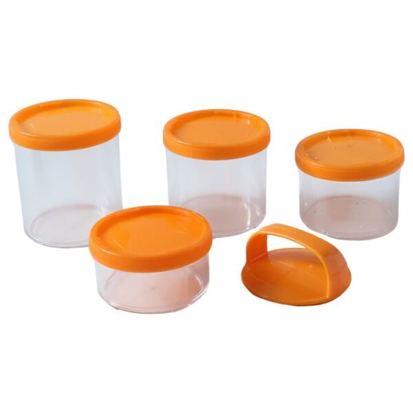 4 in 1 stackable dry fruit storage container (1 set)