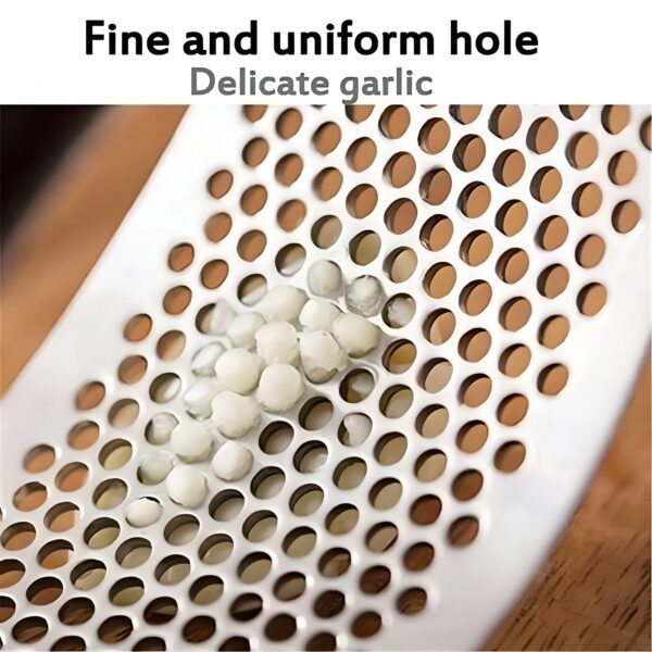 premium curved garlic press crusher (1 pc)