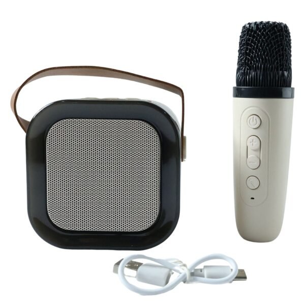 b grade portable karaoke speaker (1 set)