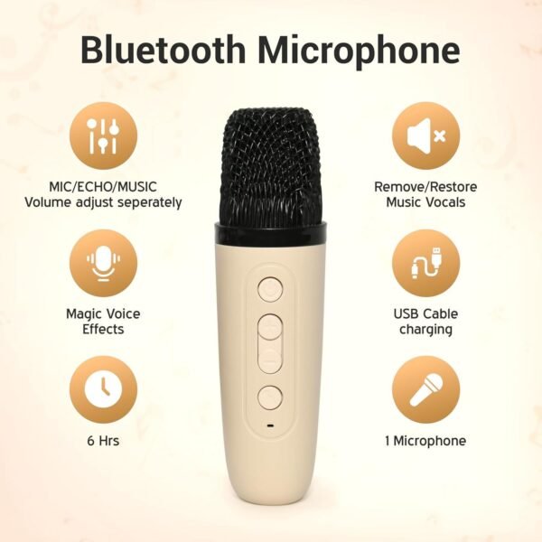 b grade portable karaoke speaker (1 set)