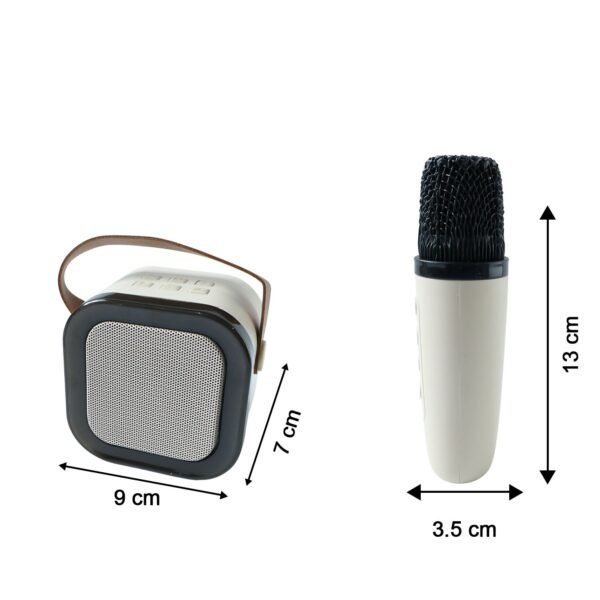 b grade portable karaoke speaker (1 set)