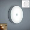 rechargeable motion sensor night light (1 pc)