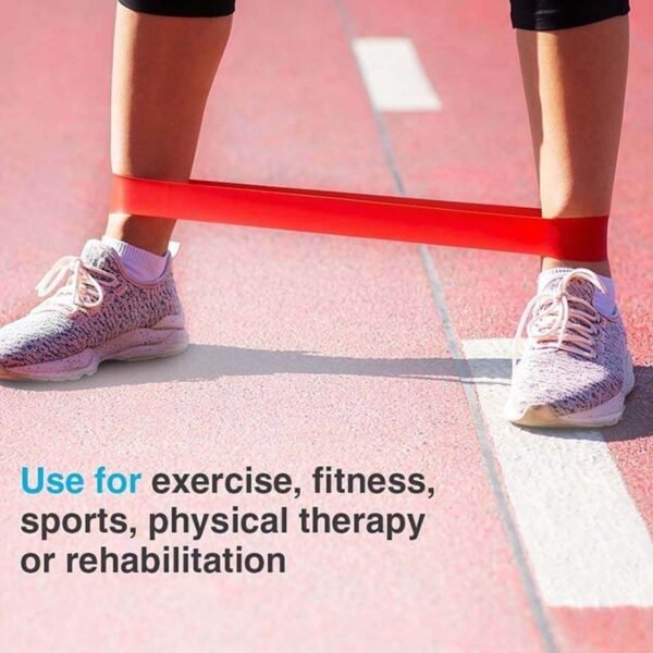 resistance loop exercise bands (5 pc)