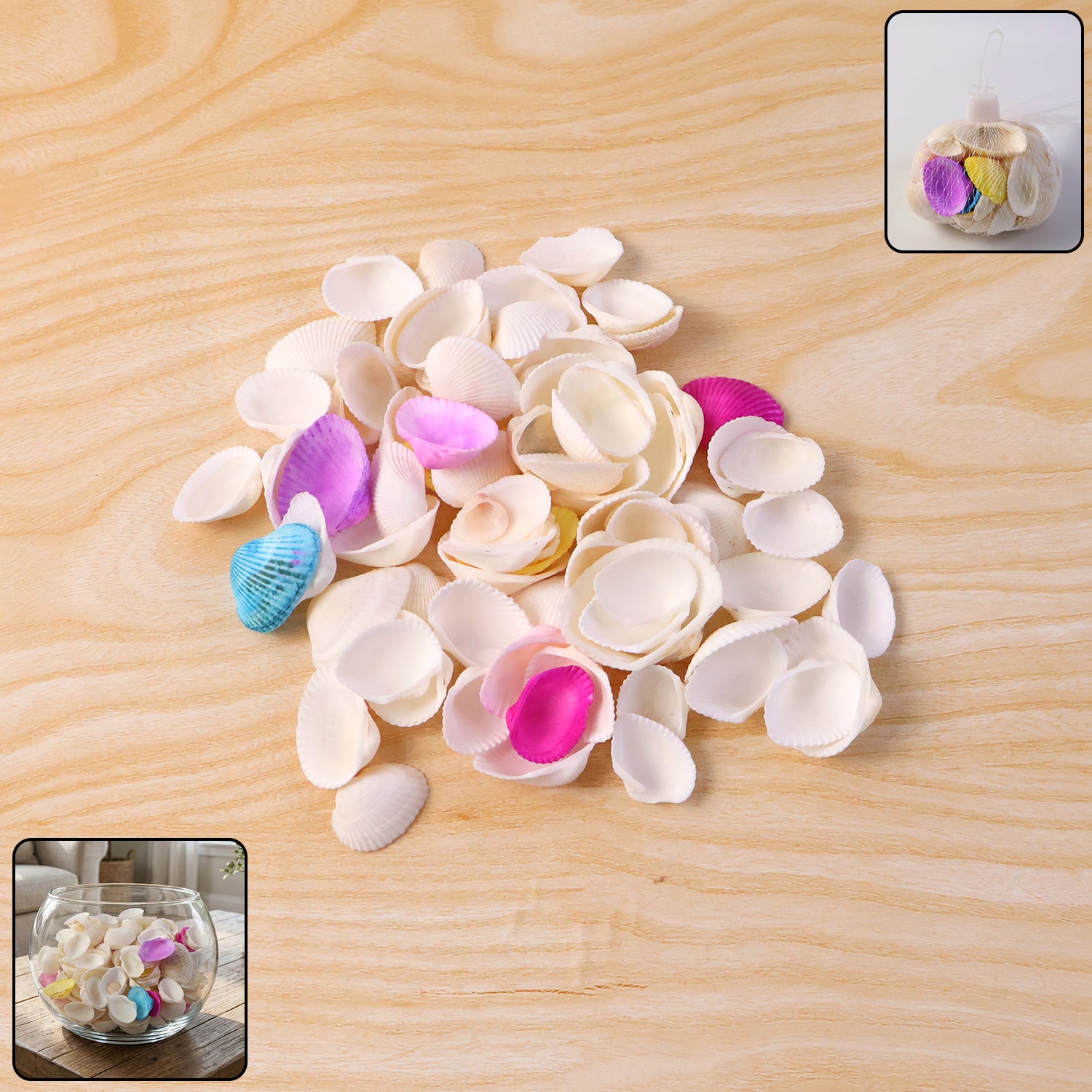 decorative seashells set (1 set)