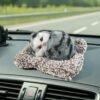 soft plush cute open eye cat car dashboard showpiece toy (1 pc)