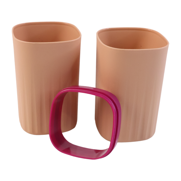 plastic hygienic toothbrush travel portable case (2 pc)