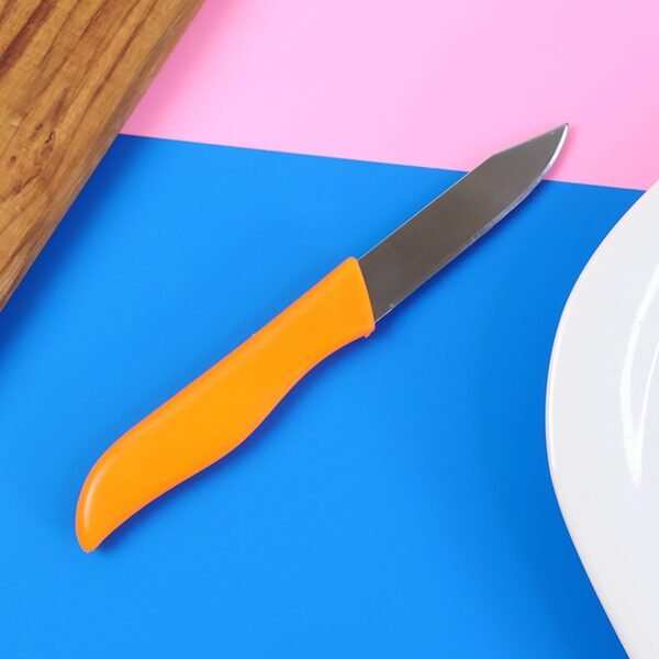 professional paring & utility kitchen knife, chhari (1 pc)