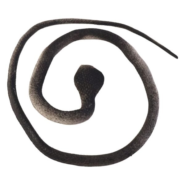 realistic dummy snake toy for kids pranks (1 pc)
