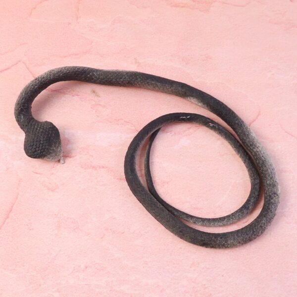 realistic dummy snake toy for kids pranks (1 pc)