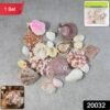natural decorative sea shells set (1 set) natural decorative sea shells set (1 set)