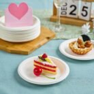 Bagasse-Plate-02.jpg