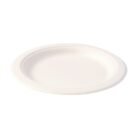 Bagasse-Plate-07.jpg