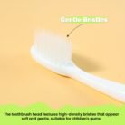 Brush-with-sunglass-03.jpg