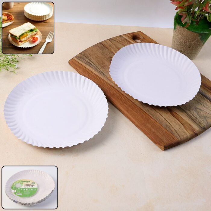 Paper-Plate-01.jpg Paper-Plate-01.jpg