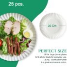 Paper-Plate-03.jpg