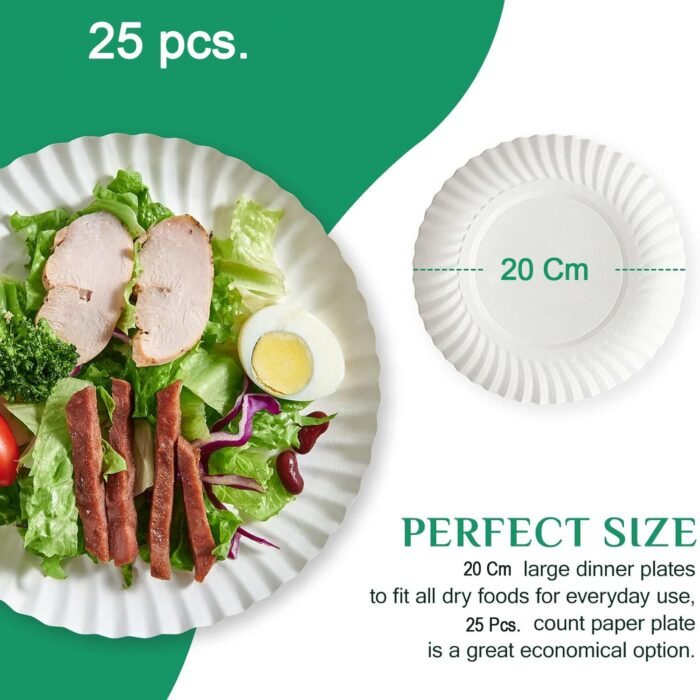 Paper-Plate-03.jpg Paper-Plate-03.jpg