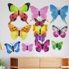 02_butterfly.jpg