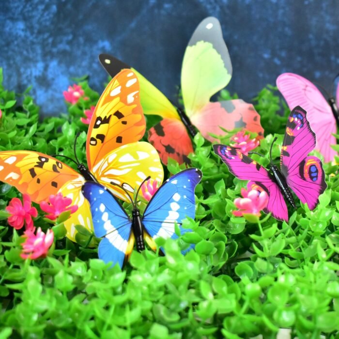 04_butterfly.jpg