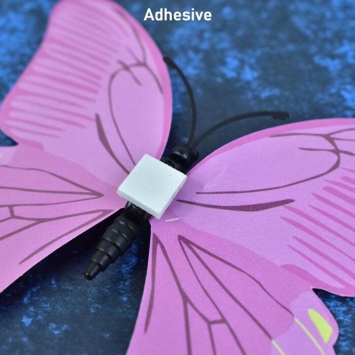 05_butterfly.jpg