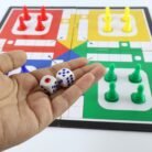 06_ludo.jpg