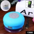163191Pc-13986-137Gm.jpg