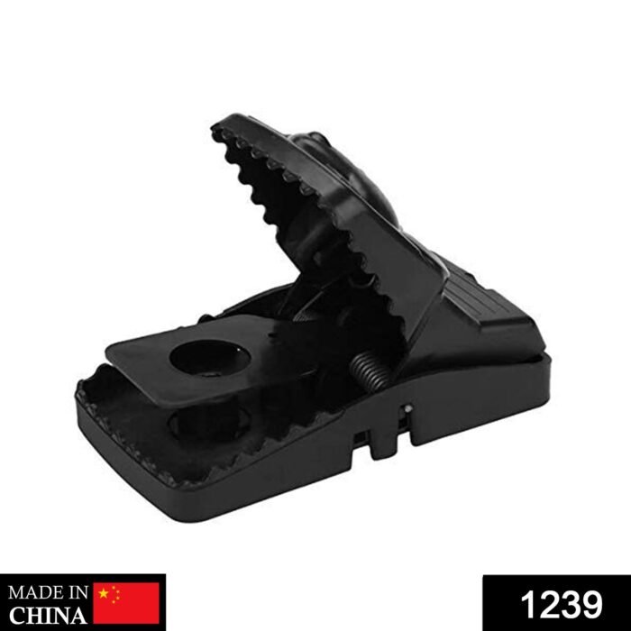 1_bb909cae-f7b9-46d3-9aac-f36032c8fa50.jpg 1_bb909cae-f7b9-46d3-9aac-f36032c8fa50.jpg