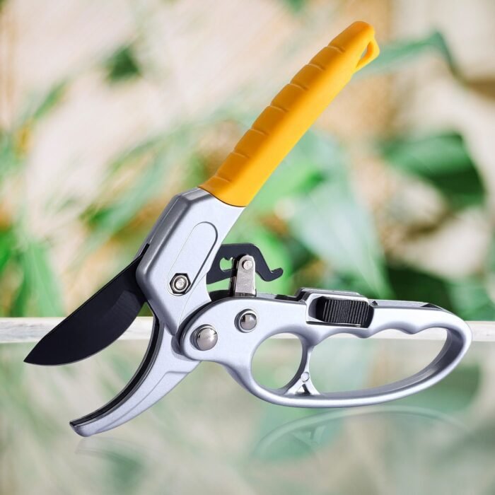 2741c088-f82f-4325-9cf3-f0696e58117b.jpg