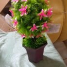 6_8dd3d834-efce-4843-afaa-2a5579a497ce.jpg